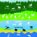 biodiversità-wwf
