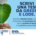 tesi-laurea-conai