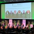 panel irif