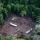 Taglio illegale di alberi nella foresta amazzonica