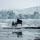 Il musicista Ludovico Einaudi in concerto nel Mare Artico