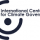 ICCG, International Center for Climate Governance - logo