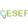 Cesef-Centro Studi sull’Economia e il Management dell’Efficienza Energetica