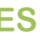 Logo di Cesef