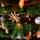 albero-natale