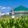 biogas