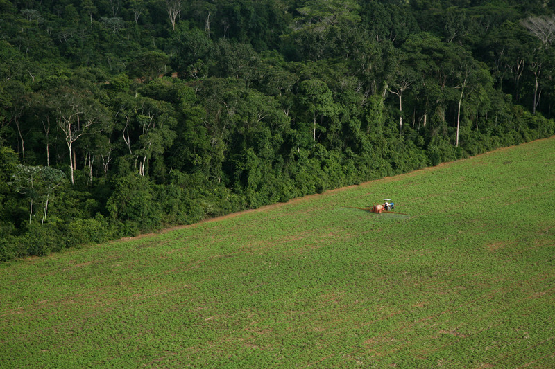 greenpeace-campagna-coltivazione-soia-amazzonia.jpg