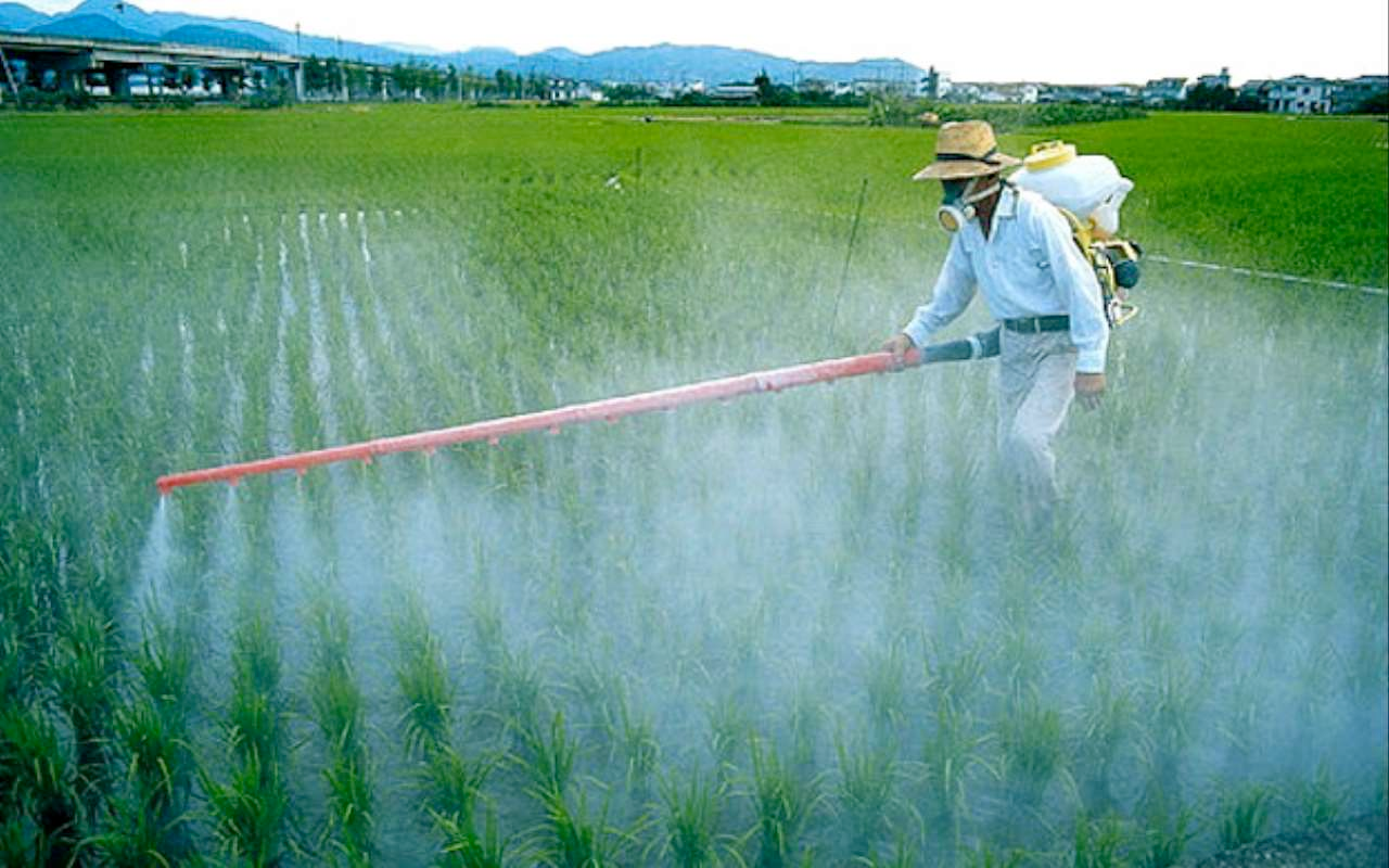 pesticidi.png