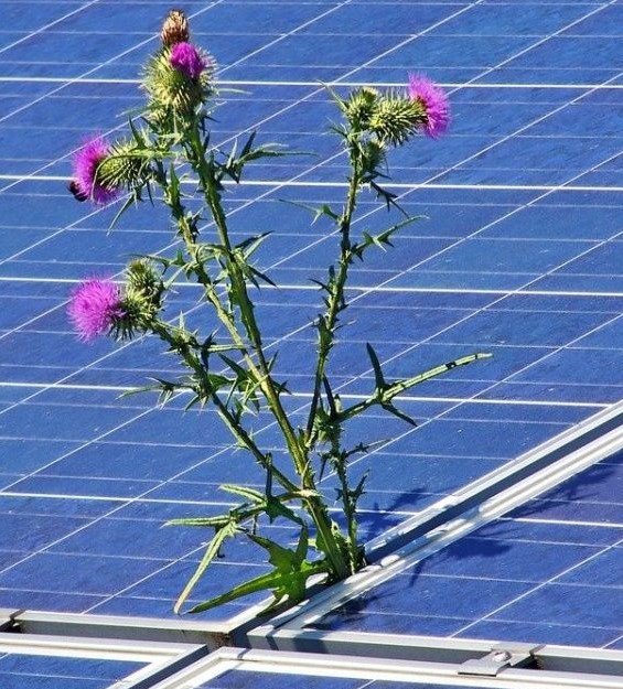 fotovoltaico.jpg