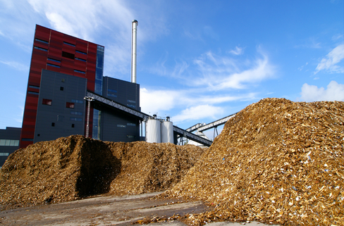 biomasse-legnose.jpg