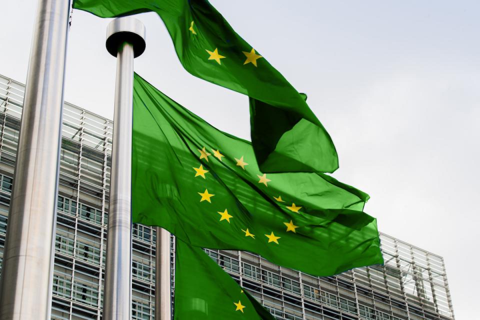 green-eu-flags.jpeg