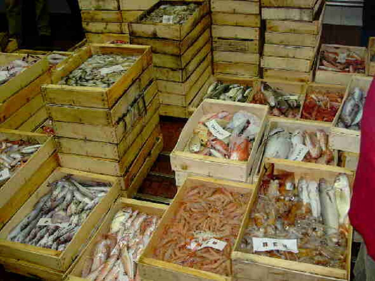 mercato-pesce.jpg