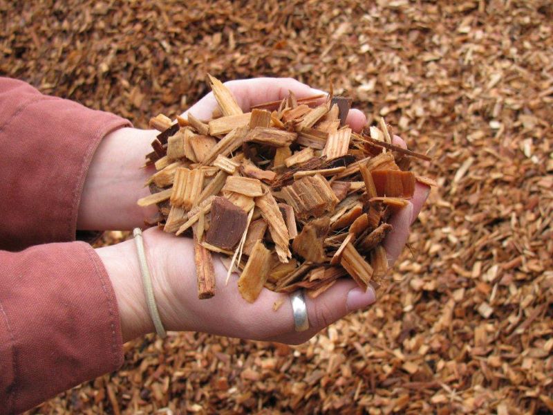 cippato-legna-biomasse.jpg