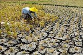 indonesia-agricoltura.jpg